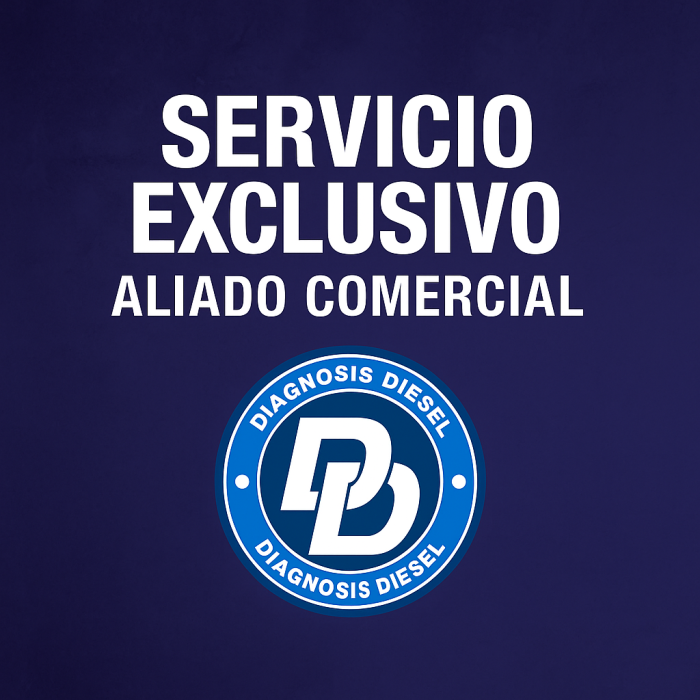 www.diagnosisdiesel.com